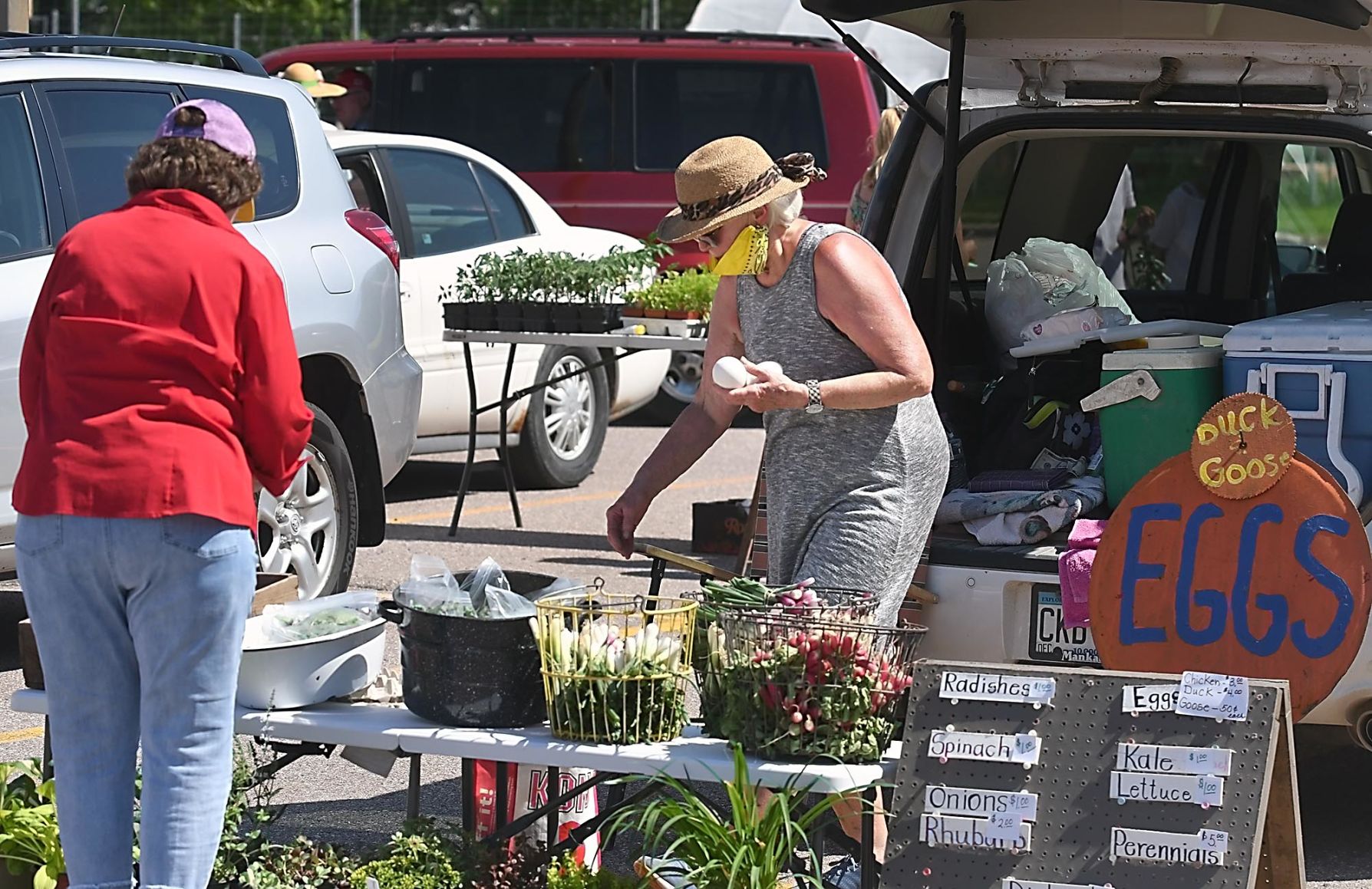 North Mankato Farmers' Market